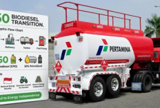 56 Persen Solar Nasional Sudah Menggunakan B50