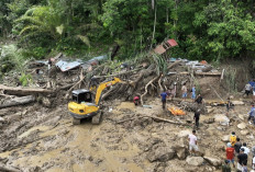 Main Kayu, Oleh: Dahlan Iskan