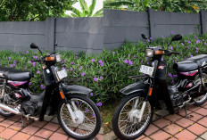Motor Kecil, Tenaga Besar! Pelajari Motor Jadul Lebih Lanjut