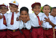 Ketimpangan Pendidikan di Indonesia : Tantangan Menuju Indonesia Emas 2045 dan Solusi Nyata