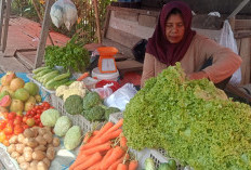 Harga Sayur Stabil, Pembeli Masih Sepi