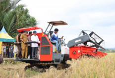  Pemerintah Kembangkan KSPEAN, Percepat Swasembada Pangan 