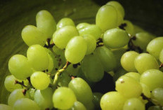 5 Makanan Ini Diyakini Membawa Hoki di Tahun Baru