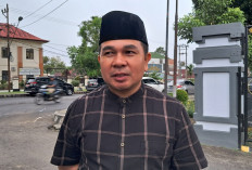 Rejang Lebong Dapat Bantuan Sapi Kurban dari Presiden Prabowo, Ini Jenis dan Lokasi Penyembeliannya!