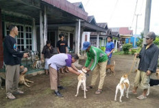  Eliminasi Dibatalkan, Rejang Lebong Genjot Vaksinasi Hewan Penular Rabies
