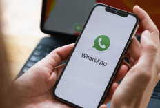 Ternyata Bisa Lho Kirim Video Panjang di WhatsApp Tanpa Terpotong, Begini Triknya!