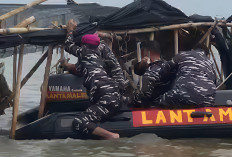  Pagar Laut Tangerang Dibongkar TNI AL dan Nelayan