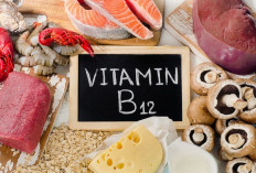 Jangan Sampai Kekurangan Vitamin B12, Ini 8 Akibat yang Perlu Kamu Waspadai! 