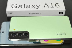 Samsung Galaxy A16 5G Diluncurkan, Dijamin Update hingga Android 20