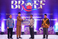 Enggano dan Kopi Robusta Jadi Bintang BRIEF 2024