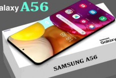 Samsung A56 5G, Ponsel Canggih dan Murah dengan Sejumlah Keunggulannya