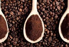 Produktivitas Rendah Jadi Penghambat, Bagaimana Masa Depan Kopi Indonesia ?