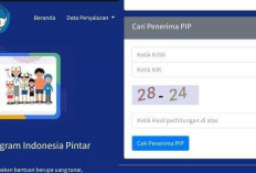 Cara Cek PIP Kemdikbud Secara Online dengan Mudah
