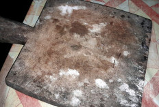 Benarkah Talenan Kayu yang Menghitam Masih Aman Dipakai ? Ini Kata Dosen IPB University