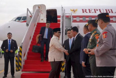 Tiba di Tanah Air Usai Lawatan ke Timur Tengah, Prabowo Bertemu Wakil Perdana Menteri Rusia di Istana Negara