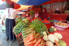 2 Jenis Sayur Ini 'Meroket' di Pasaran! 