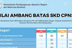 Ternyata Bukan Passing Grade, Ini Sistem Kelulusan PPPK 2024!