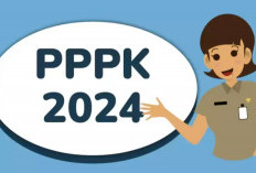 Cara Cek Pegawai Non ASN di BKN Sebelum Daftar PPPK 2024