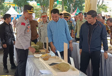 35 Durian Varietas Unggulan Ikuti Kontes, Durian Rejang Lebong Siap Mendunia