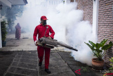 5 Warga Cawang Baru Terjangkit DBD, Puskesmas Simpang Lakukan Fogging