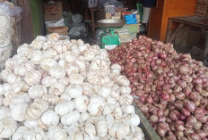 Stok Sedikit, Harga Bawang Merah Naik