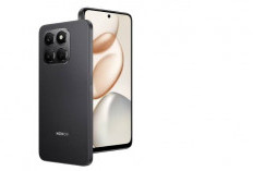 Harga dan Spesifikasi Honor X7d 5G, Ponsel Murah dengan Jaringan 5G dan Fitur Lengkap 
