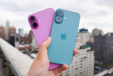 Ini Alasan Kenapa HP China Masih Kesulitan Tandingi iPhone