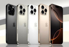 Layar Tajam, Performa Cepat ! Ini 5 HP Terbaik 2025 untuk Desainer dan Ilustrator Digital