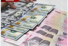  Rupiah Menurun Tajam ke Angka Rp 17.700 Lebih 