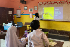  Resmi Dihapus, Begini Nasib Guru Honorer di Rejang Lebong 