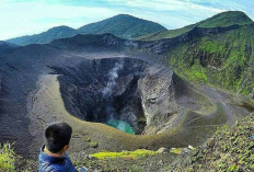 Ini 4 Fakta Menarik Taman Wisata Alam Bukit Kaba