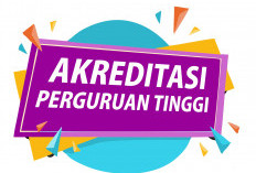 Ini Cara Cek Akreditasi Kampus dan Prodi untuk Daftar CPNS 2024 