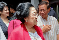 Jika Pramono-Rano Menang, Nazar Megawati Tanam Pohon Tiap Hari di Jakarta