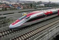 Siapa Mikir, Oleh: Dahlan Iskan