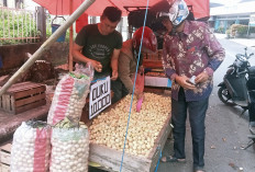 Buah Duku Mulai Banjiri Rejang Lebong