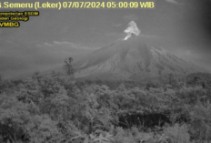 Gunung Semeru Erupsi, Sembur Abu Setinggi 1.000 Meter