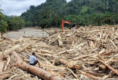  12 Perusahaan Diduga Picu Banjir dan Longsor di Sumatra 