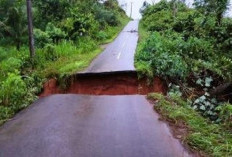 Perbaikan Jalan Putus Belum Terealisasi