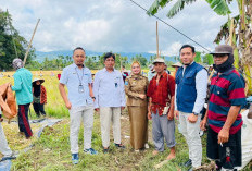 Dukung Swasembada Pangan, Kegiatan Ini Terus Dimaksimalkan Bulog Rejang Lebong