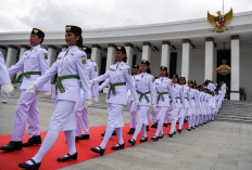 MUI dan PPI Dukung Tegas Langkah GUB Tolak Larangan Hijab Bagi Paskibraka Putri