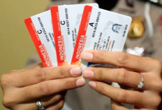 Mulai 1 Juni 2025, SIM Indonesia Berlaku di 8 Negara ASEAN Tanpa Perlu SIM Internasional !