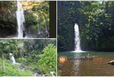 Rekomendasi 3 Air Terjun Di Kepahiang yang Cocok Untuk Tempat Anda Healing Bersama Keluarga!