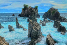 Pantai Gigi Hiu Lampung,  Surga Pecinta Fotografi dengan Lanskap Memukau