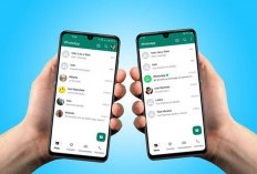 Begini Tutorial 1 Akun WhatsApp Login di 2 HP