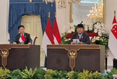 Danantara jadi Eksportir Listrik Indonesia ke Singapura, Ini Kata Prabowo