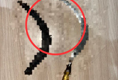Warga Karang Anyar Alami Luka B4cok di Kepala Usai Dikeroyok