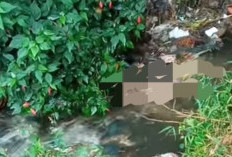 Mayat Perempuan Tanpa Busana Ditemukan Mengambang di Sungai, Warga Rejang Lebong Heboh