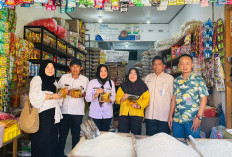 Jelang Idul Adha, Bulog Pastikan Stok Minyakita Aman