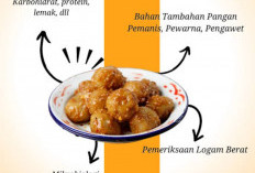 BPOM: Ini Jenis Produk Makanan Wajib Uji Salmonella