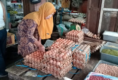 Harga Bahan Pokok Stabil